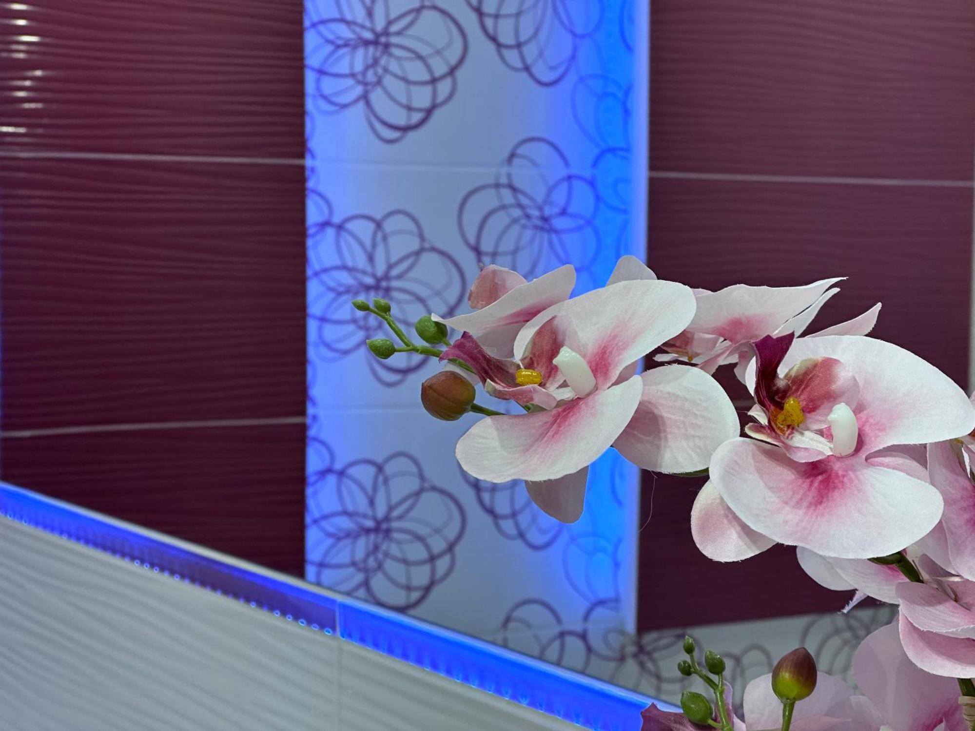 Large, Luxury Condo With Sauna Перемишль Екстер'єр фото