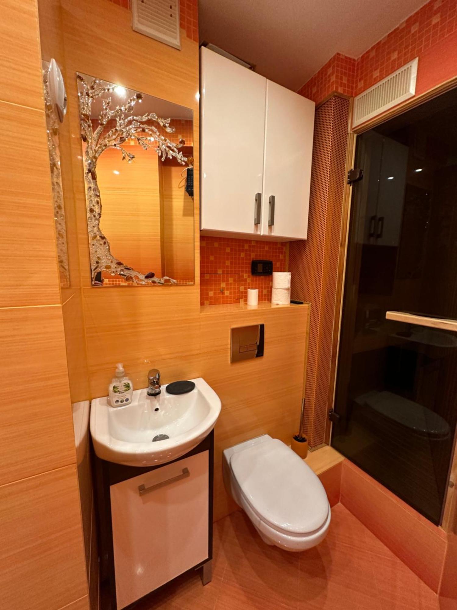 Large, Luxury Condo With Sauna Перемишль Екстер'єр фото